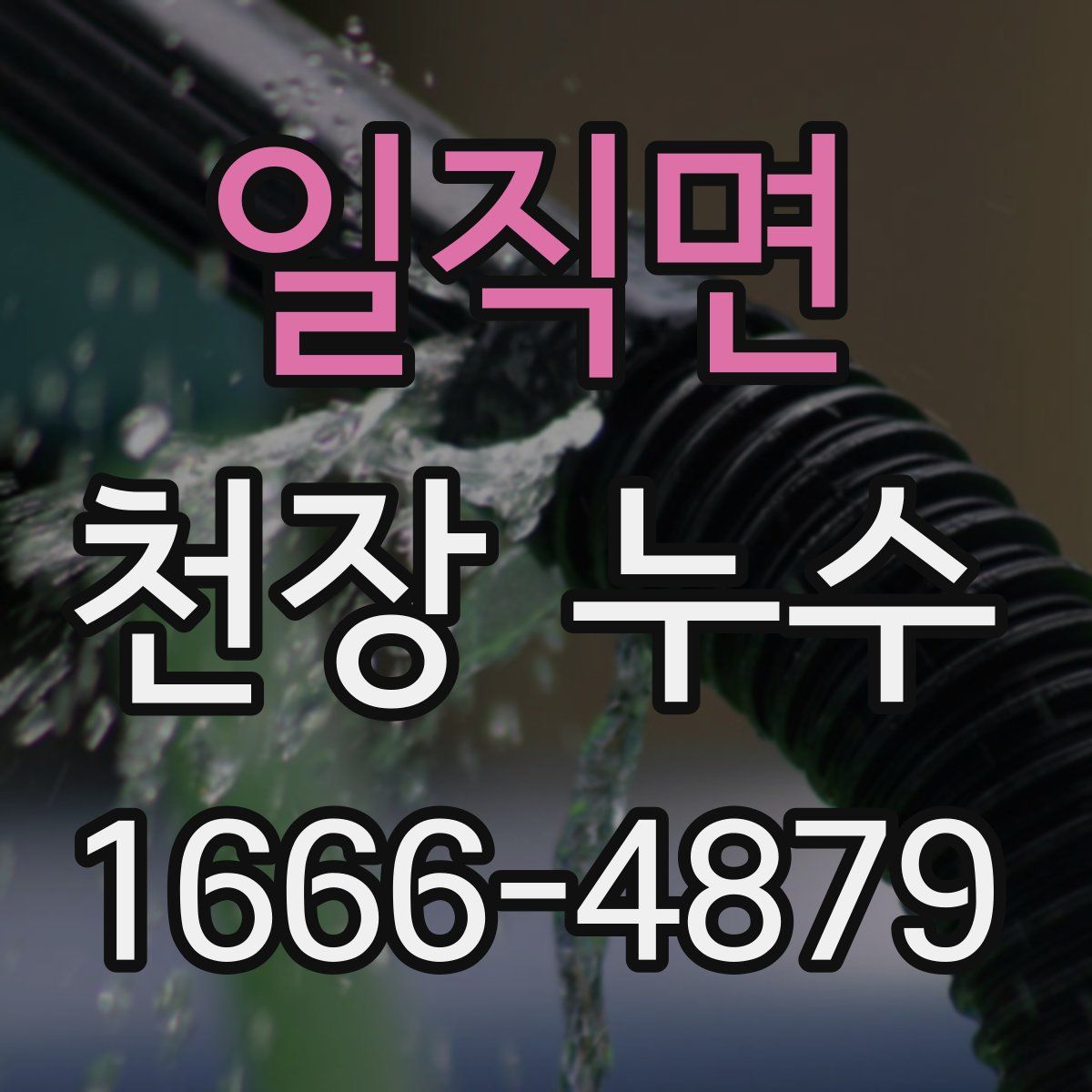 일직면 천장 누수