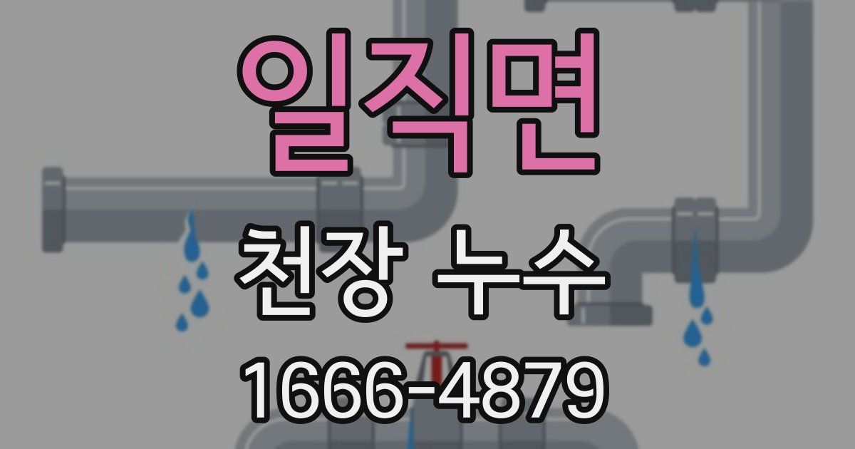 일직면 천장 누수