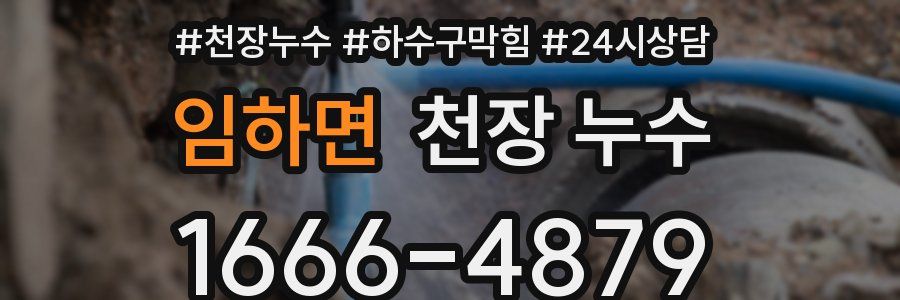 임하면 천장 누수