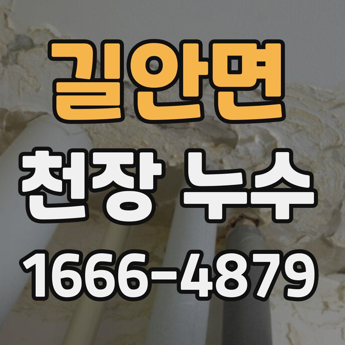 길안면 천장 누수