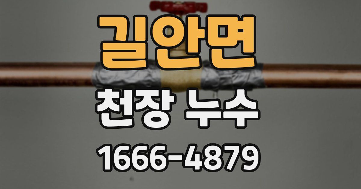 길안면 천장 누수