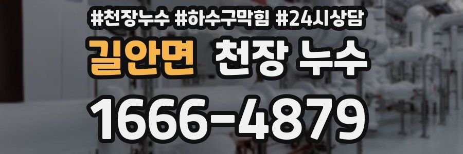 길안면 천장 누수