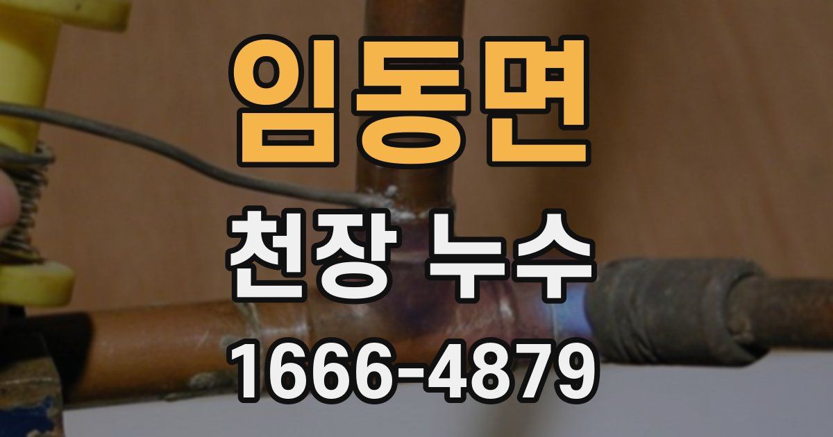 임동면 천장 누수