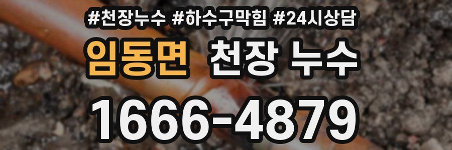 임동면 천장 누수