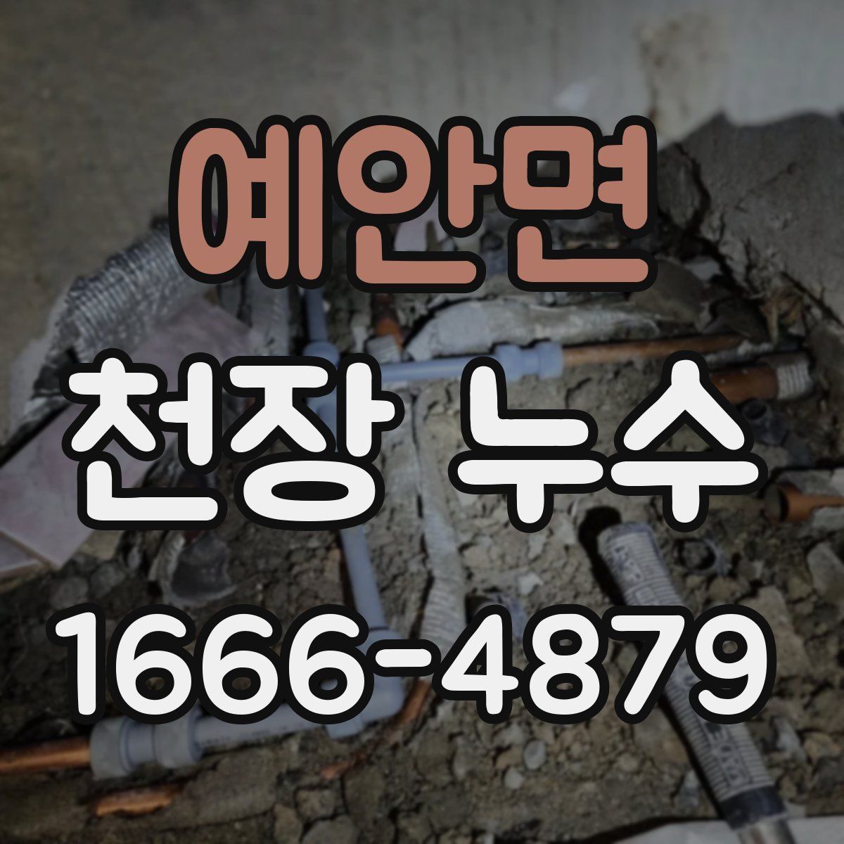 예안면 천장 누수