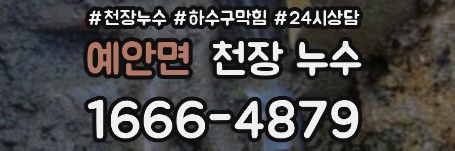 예안면 천장 누수