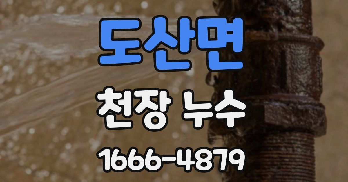 도산면 천장 누수
