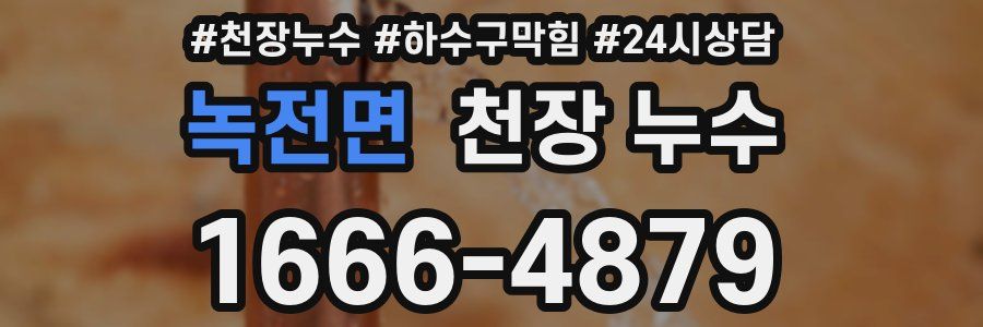 녹전면 천장 누수