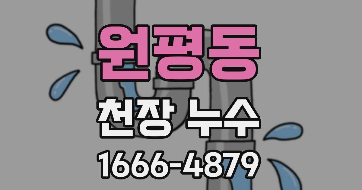 원평동 천장 누수