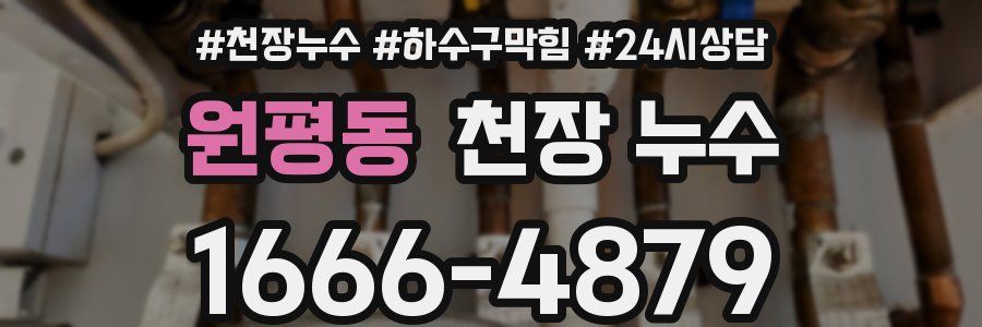 원평동 천장 누수