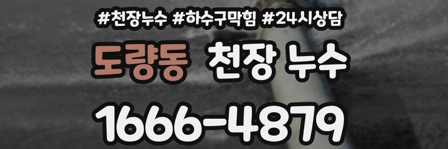 도량동 천장 누수