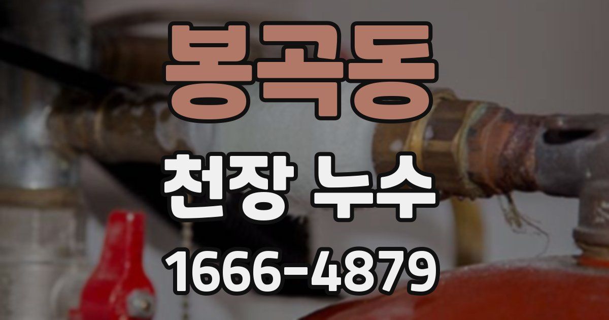 봉곡동 천장 누수