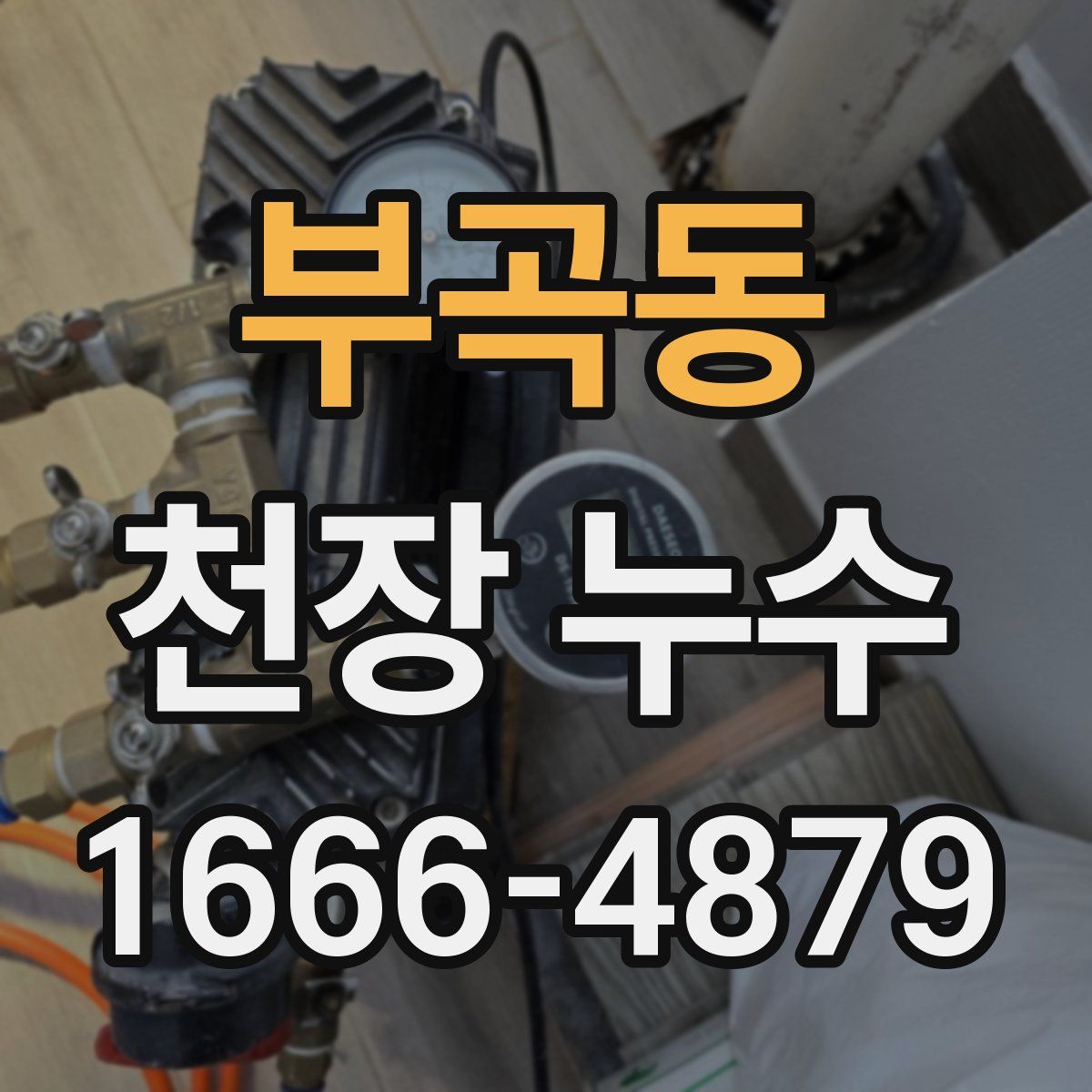 부곡동 천장 누수