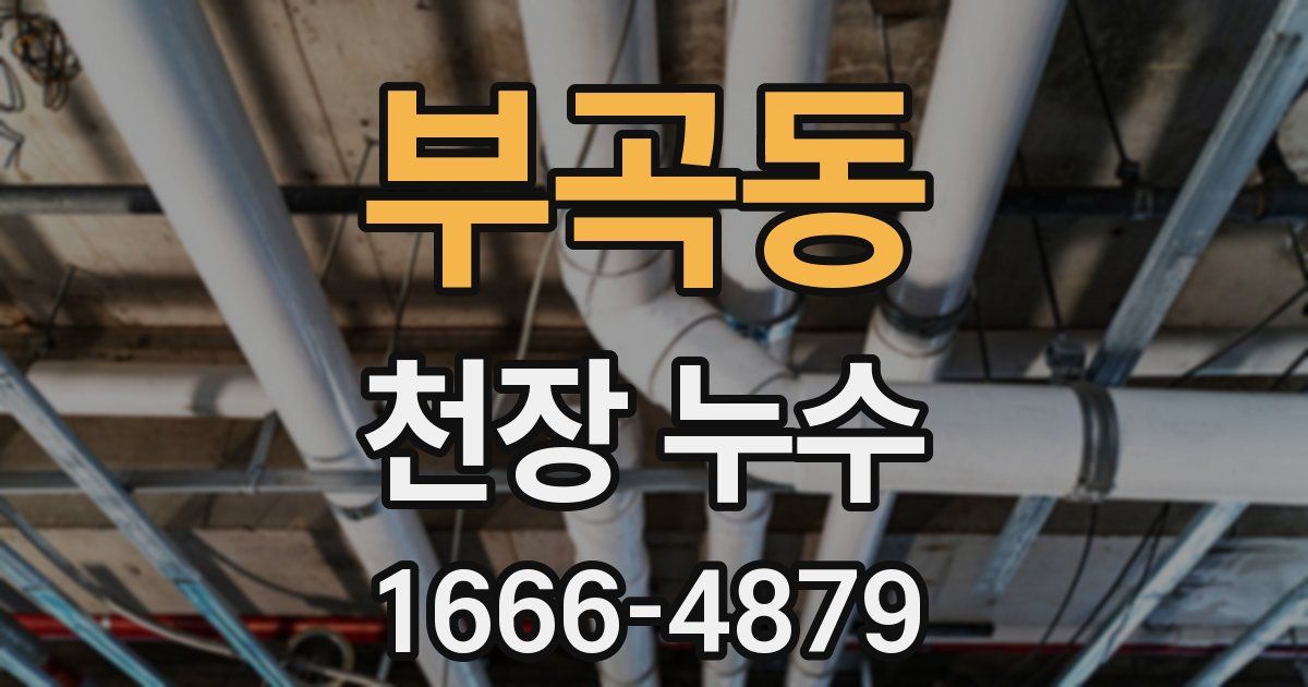 부곡동 천장 누수