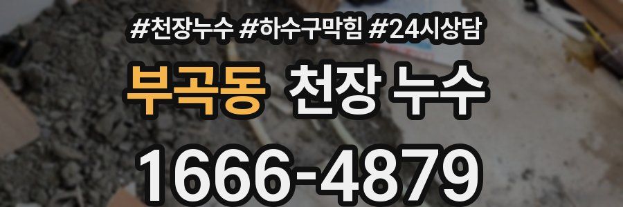 부곡동 천장 누수