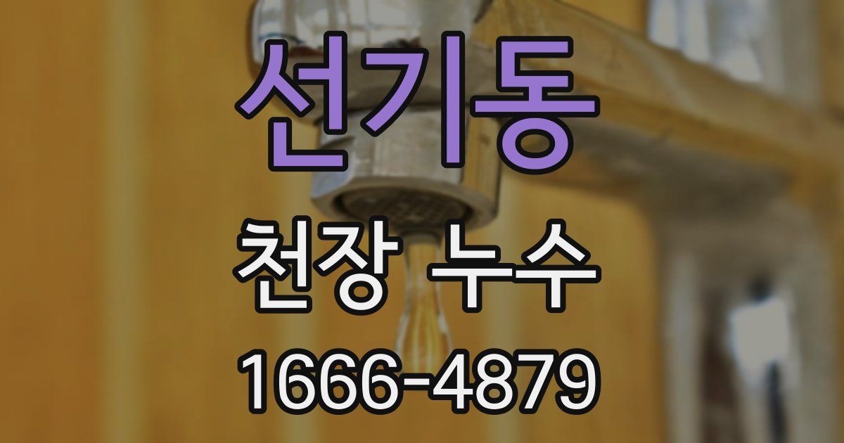 선기동 천장 누수