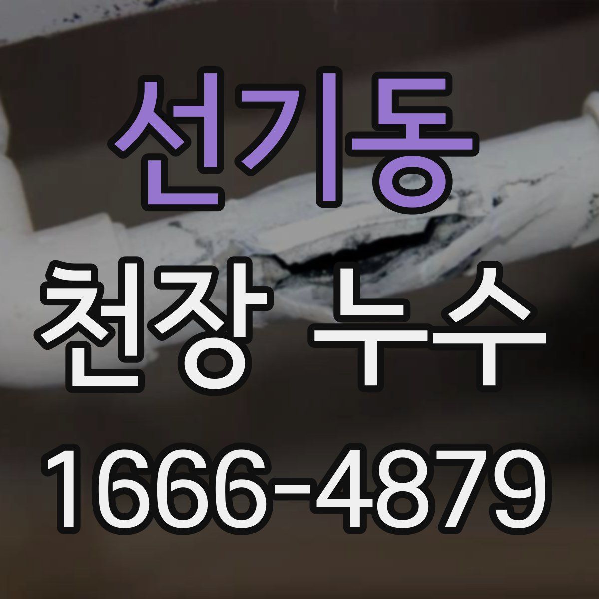 선기동 천장 누수