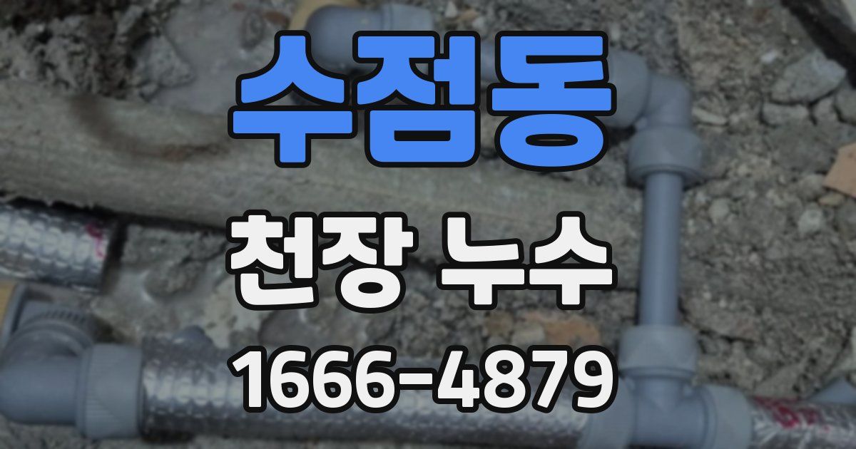 수점동 천장 누수