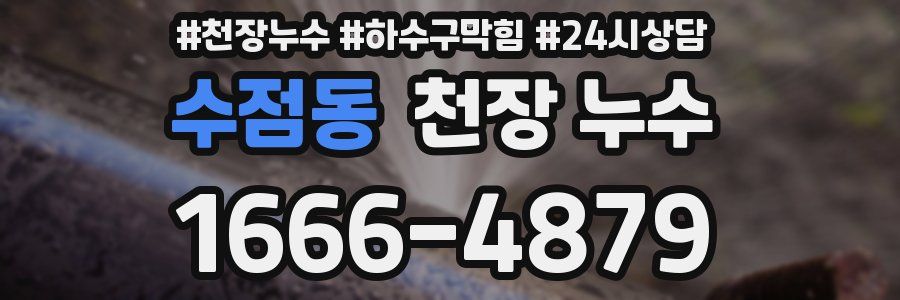 수점동 천장 누수