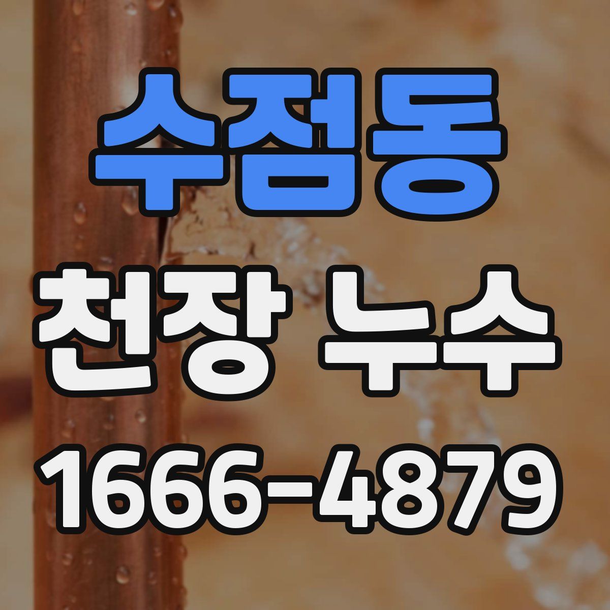 수점동 천장 누수