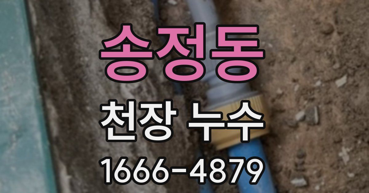 송정동 천장 누수