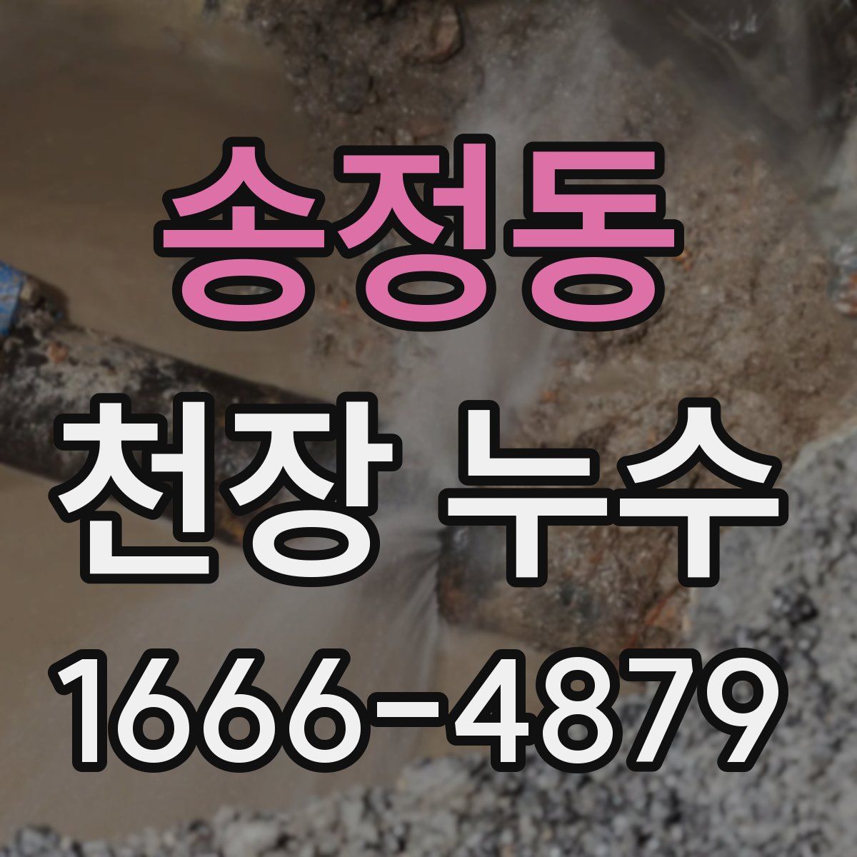 송정동 천장 누수