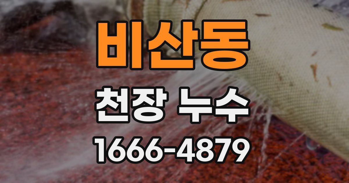 비산동 천장 누수