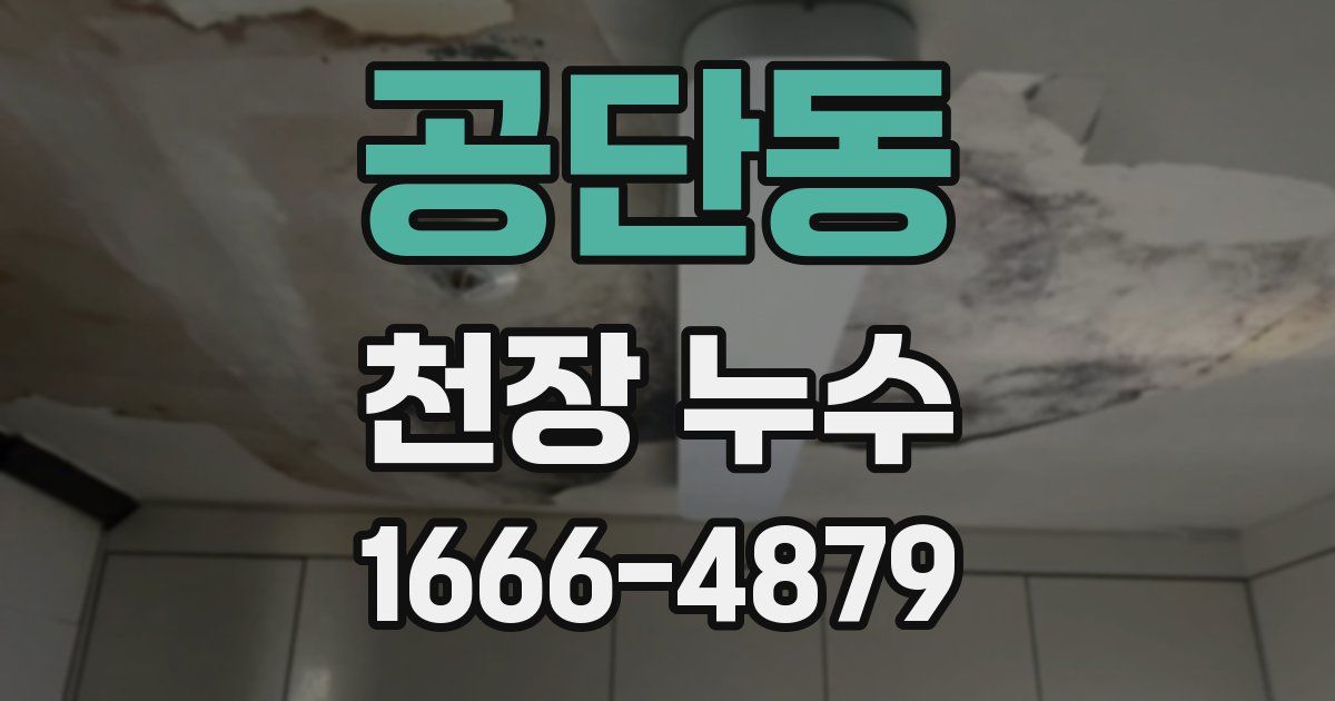 공단동 천장 누수