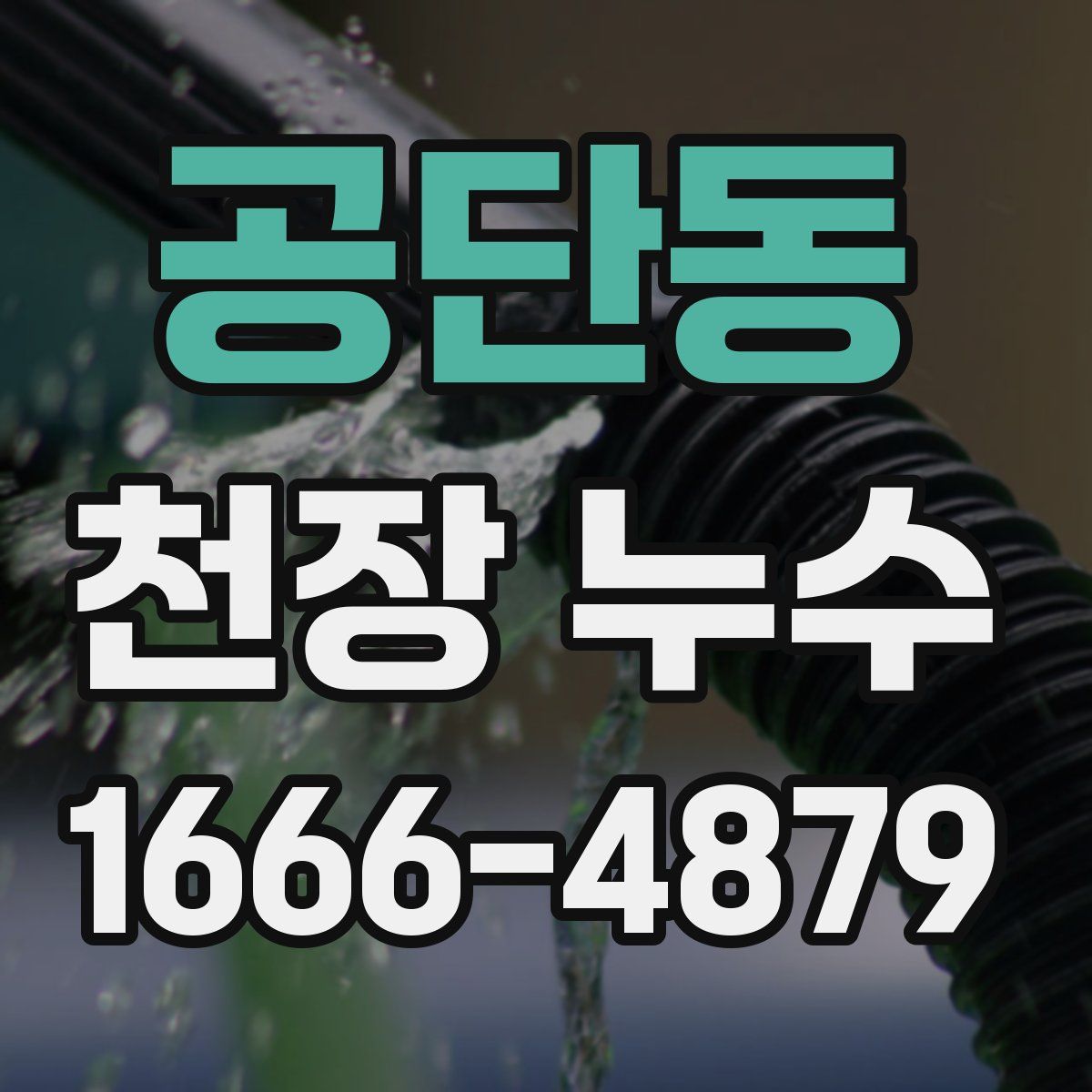 공단동 천장 누수