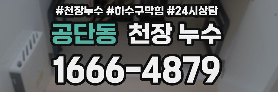 공단동 천장 누수