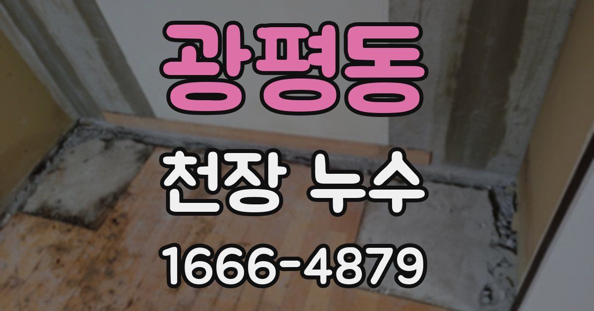 광평동 천장 누수