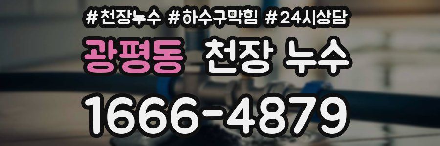 광평동 천장 누수