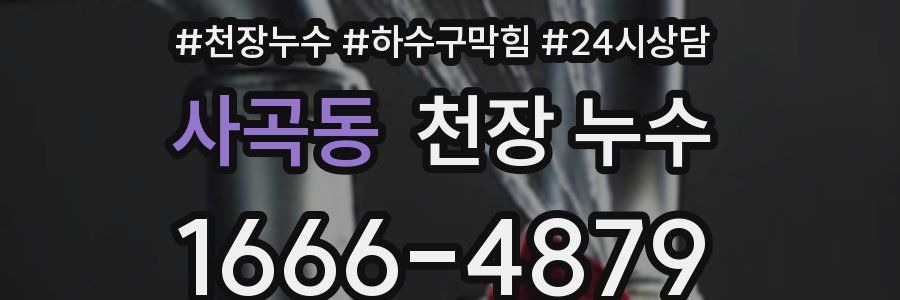 사곡동 천장 누수