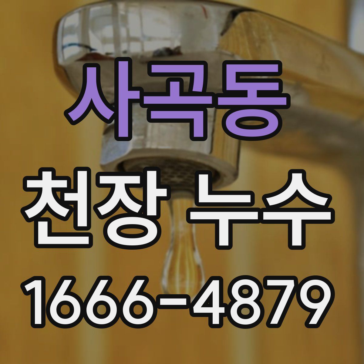 사곡동 천장 누수