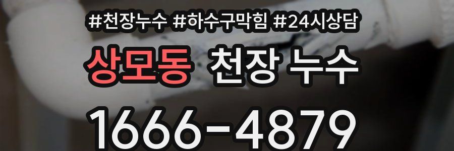 상모동 천장 누수