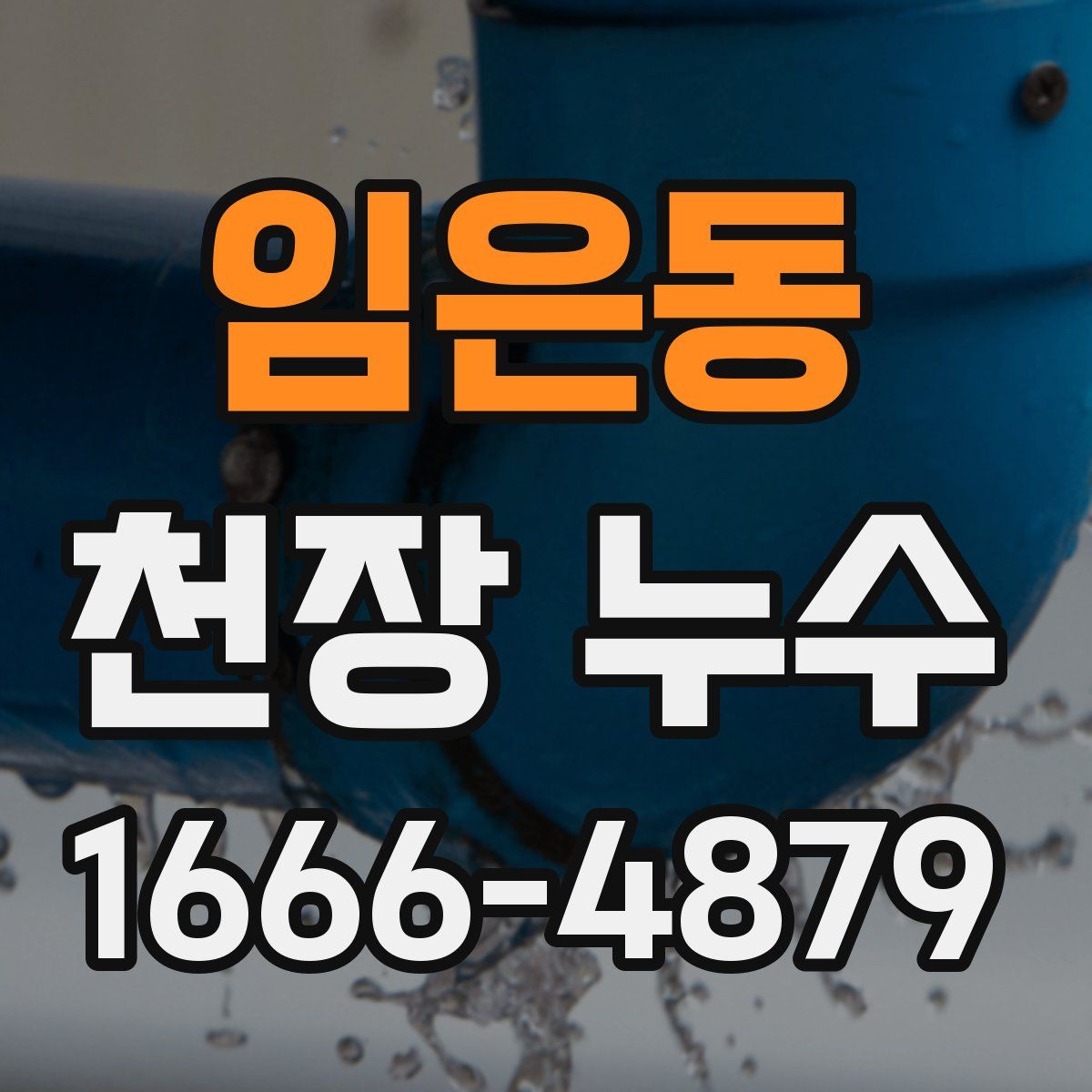 임은동 천장 누수