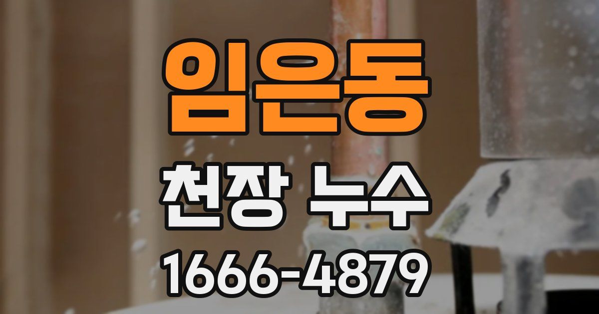 임은동 천장 누수