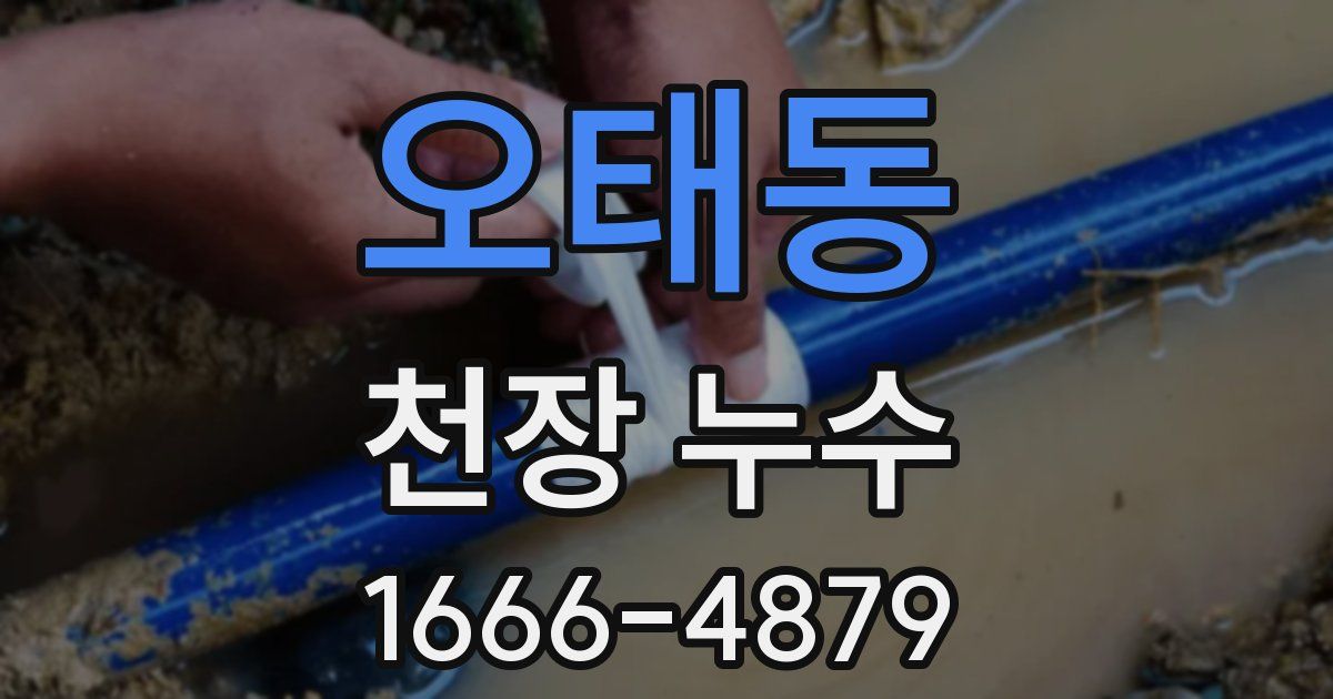 오태동 천장 누수