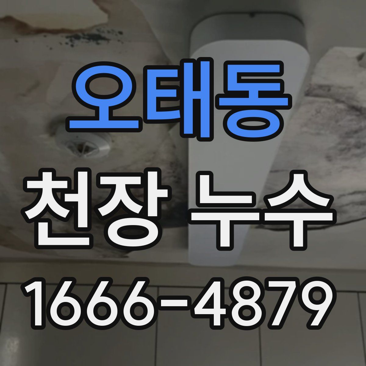 오태동 천장 누수