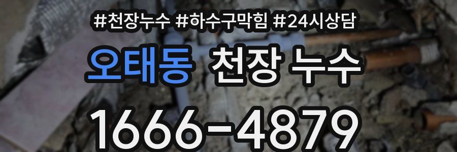 오태동 천장 누수