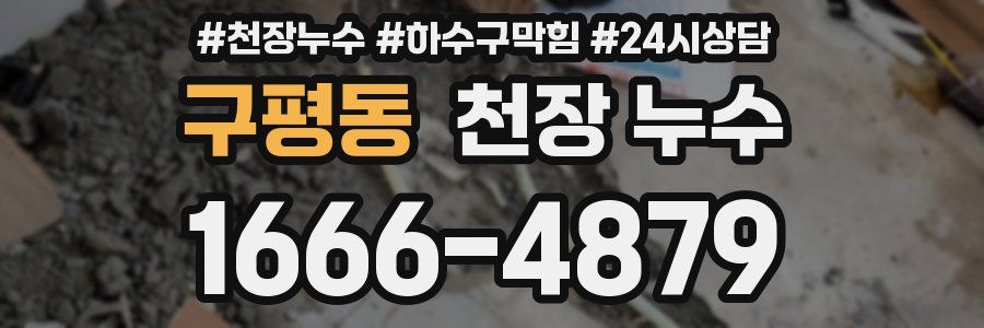 구평동 천장 누수