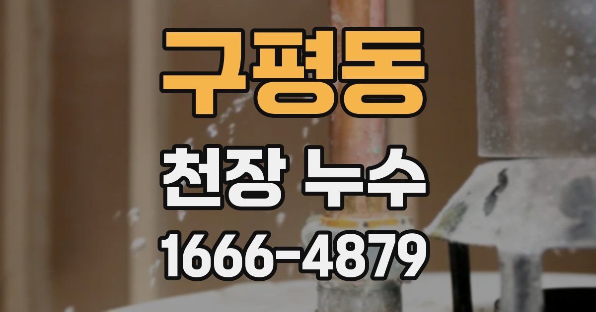 구평동 천장 누수