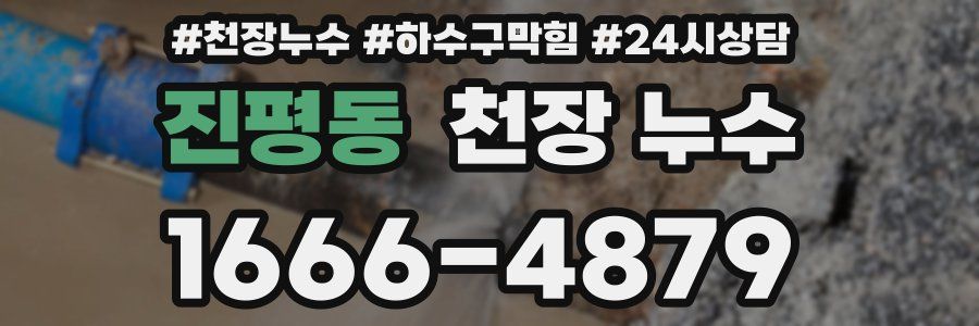 진평동 천장 누수