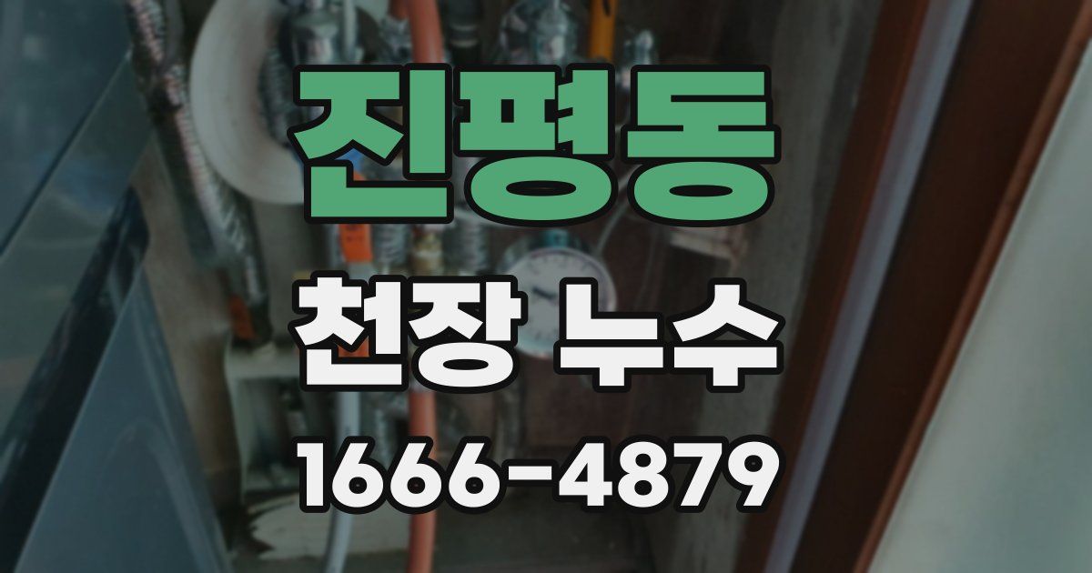 진평동 천장 누수