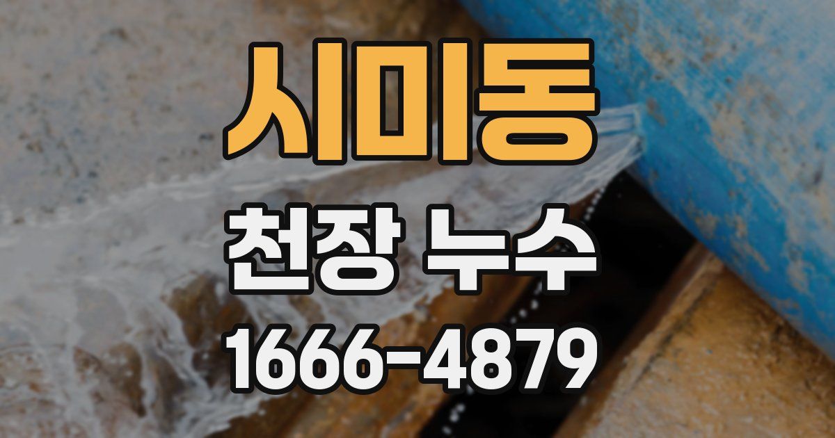 시미동 천장 누수
