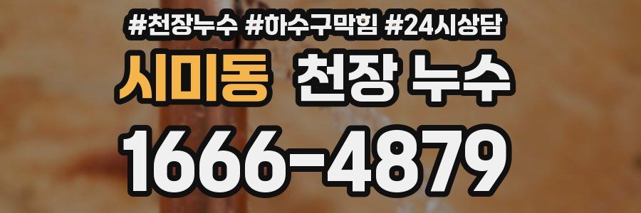 시미동 천장 누수