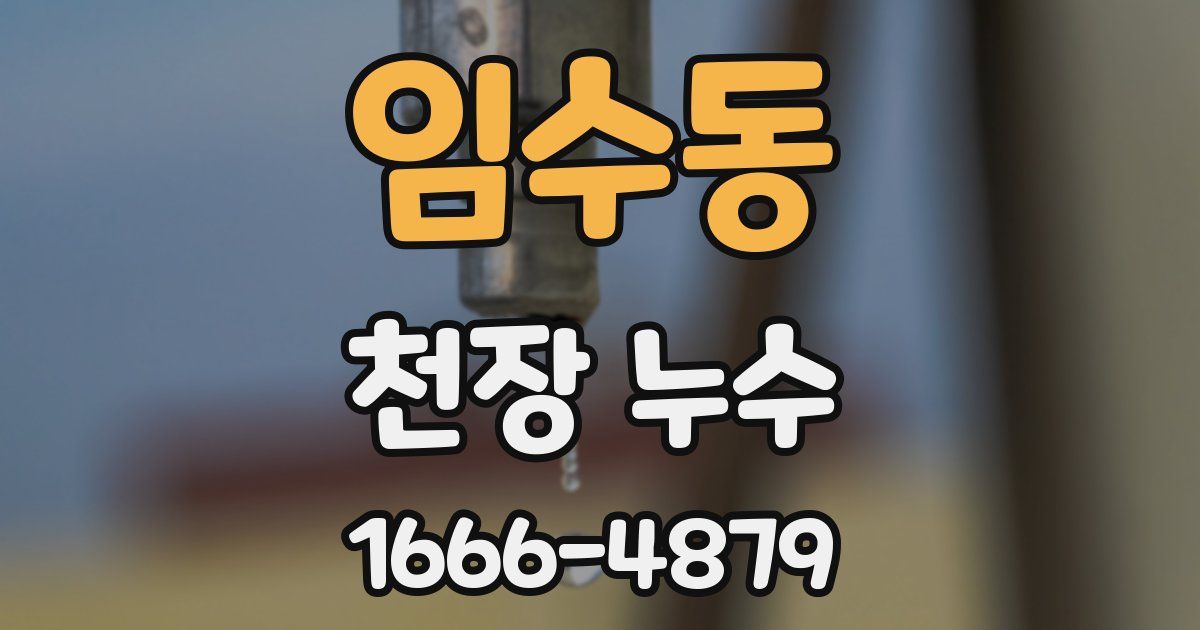 임수동 천장 누수