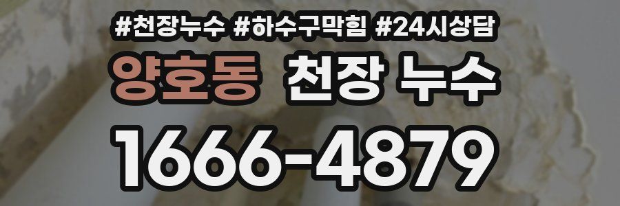 양호동 천장 누수