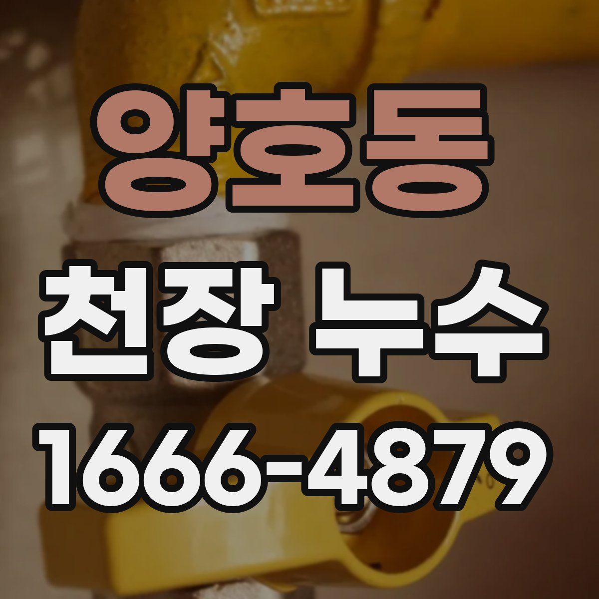 양호동 천장 누수