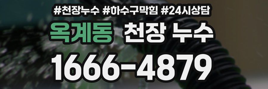 옥계동 천장 누수